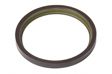 MAPCO ABS Ring 10123006 Einbauseite: Hinterachse beidseitig, Breite [mm]: 9, Innendurchmesser [mm]: 88,9, Außendurchmesser [mm]: 101, Ergänzungsartikel/Ergänzende Info 2: mit integriertem magnetischen Sensorring 1.