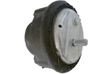 MAPCO Lagerung, Motor 10300472 Einbauposition: rechts, Lagerungsart: Hydrolager 1.
