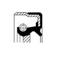CORTECO Transmission gear seal 236177 40x56x8 mm
Fitting Position: Inlet, outer, Height [mm]: 8, Inner Diameter [mm]: 40, Outer Diameter [mm]: 56, Material: ACM (Polyacrylate), Swirl Type: Right-hand Twist, Dust Cover: with dust lip 4.