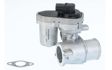 WAHLER EGR valve