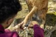 KÄRCHER Mobiles Reinigungszubehör für den Außenbereich 11541657 Konische Düse, eine sehr sanfte und weiche Dusche für unser Haustier. Die Düse mit konischem Radius eignet sich für eine noch schonendere Reinigung von Haustieren, z.B. zum Reinigen der Pfoten von Hunden. Ideal nach Spaziergängen, bevor der Hund ins Auto steigt und das Haus oder die Wohnung betritt. Die Düse erzeugt einen Wasserstrahl mit niedrigem Druck (vergleichbar mit einem Wasserstrahl aus einem Wasserhahn) und ist daher für Tiere völlig ungefährlich. 4.
