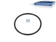 DT SPARE PARTS Dichtung, Thermostat