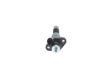 BOSCH Einspritzpumpe 10181376 Einspritzsystem: PF-Pumpe 4.