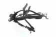 VEMO Raddrehzahlsensor 10990962 Einbauseite: Vorderachse links, Brems-/Fahrdynamik: für Fahrzeuge mit ABS, Nennspannung [V]: 12 4.