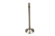MAHLE ORIGINAL Ventil 10877760 Einbauposition: Einlassseite, Ventiltellerdurchmesser [mm]: 28,0, Ventilschaftdurchmesser [mm]: 6,0, Ventilsitzwinkel [Grad]: 45,0, Länge [mm]: 99,3, Anzahl der Rillen: 3 1.