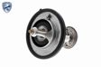 ACKOJA Thermostat 10476254 Öffnungstemperatur [°C]: 82, Ergänzungsartikel/Ergänzende Info: mit Dichtung 4.
