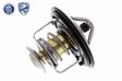 ACKOJA Thermostat 10475839 Öffnungstemperatur [°C]: 82, Ergänzungsartikel/Ergänzende Info: mit Dichtung 1.