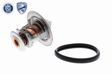 ACKOJA Thermostat 10476278 Öffnungstemperatur [°C]: 82, Ergänzungsartikel/Ergänzende Info: mit Dichtung 1.