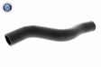 ACKOJA Kühlerschlauch(gebogen) 10855288 Einbauseite: oben 3.