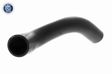 ACKOJA Kühlerschlauch(gebogen) 10855327 Einbauseite: unten 3.