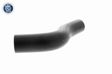 ACKOJA Kühlerschlauch(gebogen) 10855366 Einbauseite: oben 4.