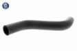 ACKOJA Kühlerschlauch(gebogen) 10855364 Einbauseite: oben 3.