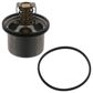 SWAG/FEBI Thermostat