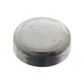 SWAG/FEBI Plug (water)