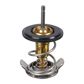 SWAG/FEBI Thermostat