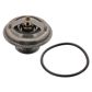 SWAG/FEBI Thermostat