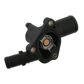 SWAG/FEBI Thermostat