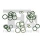 FA1 Dichtungssatz, Kompressor
