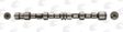 AE Nockenwelle 10765915 Material: Gusseisen 2.
