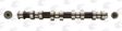 AE Nockenwelle 10766085 Einbauposition: Einlassseite, Material: Gusseisen 2.