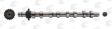 AE Nockenwelle 10766055 Einbauposition: Einlassseite, Material: Stahl 2.