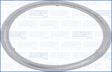 AJUSA Auspuffdichtung 11133060 2 Stk./Packung
Dicke/Stärke [mm]: 0,4, Innendurchmesser [mm]: 62, Außendurchmesser [mm]: 74,5 1.