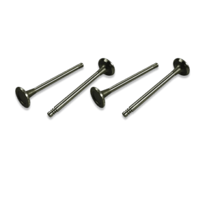 Engine valve set
