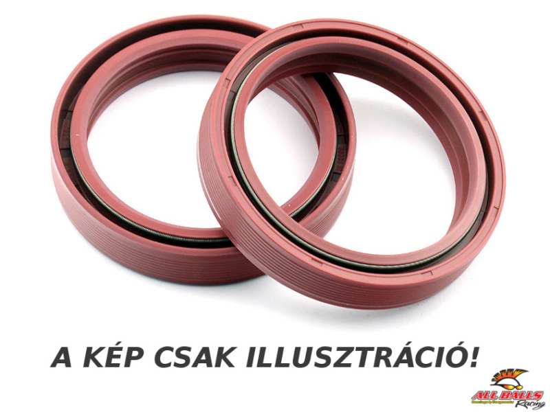 VICMA Teleskop Wellendichtring 10039716 Set, 48x58x9.5