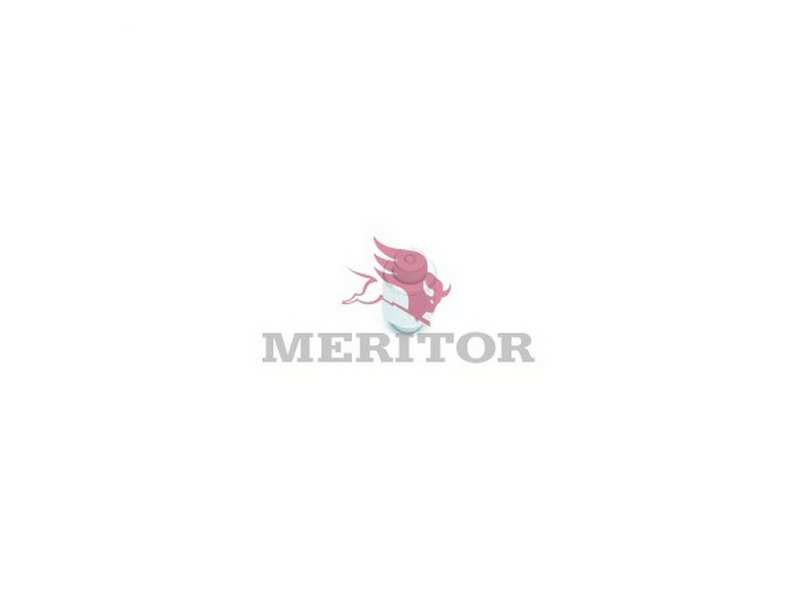MERITOR Reparatursatz für Bremsbackenrollen 109462 