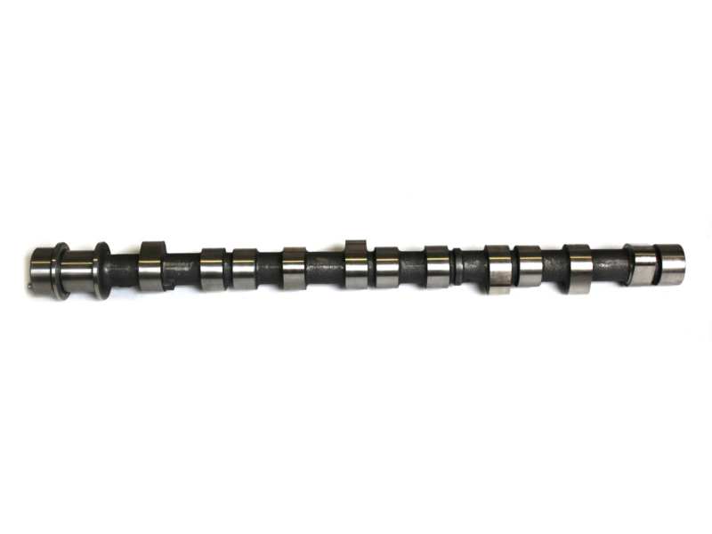 AE Nockenwelle 10766047 Material: Gusseisen 1.