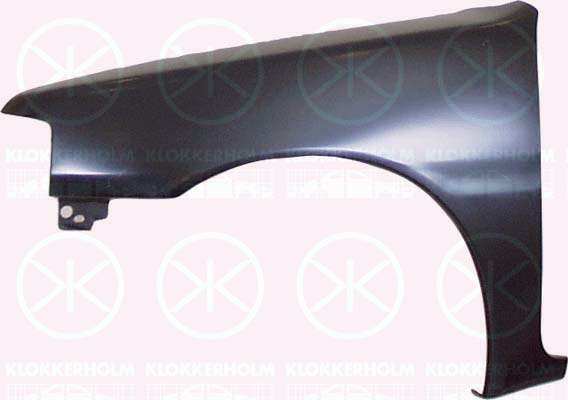 KLOKKERHOLM Einstiegblech 637979 Einbauseite: vorne rechts, Qualität: WP, mechanisch bearbeitet: ohne Loch für Blinkleuchte, nicht für Ausstattungsvariante: XSI,Rallye