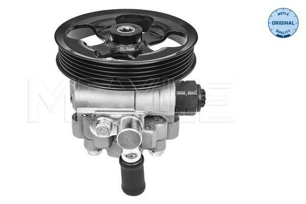 MEYLE Servolenkung Pumpe 11016809 Betriebsart: hydraulisch, Betriebsdruck [bar]: 85, Rippenanzahl: 6, Neuteil ohne Pfand: , benötigte Stückzahl: 1 1.