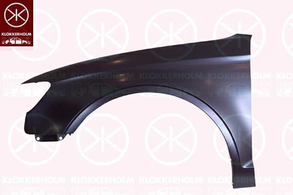 KLOKKERHOLM Einstiegblech 11142485 Einbauposition: vorne links, Material: Stahl, Oberfläche: verzinkt