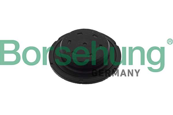 BORSEHUNG Abdeckung 11342223 