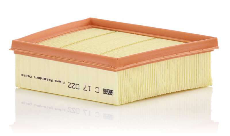 MANN-FILTER Luftfilter 11129341 Filterausführung: Filtereinsatz, EU-Produktsicherheitsverordnung (GPSR): IEC 60417-6183 mechanisches Fachwissen erforderlich, Länge [mm]: 161, Breite [mm]: 198, Höhe [mm]: 58, Breite 1 [mm]: 164 1.