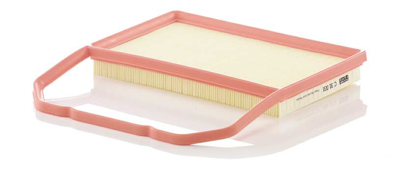 MANN-FILTER Luftfilter 10596209 Filterausführung: Filtereinsatz, EU-Produktsicherheitsverordnung (GPSR): IEC 60417-6183 mechanisches Fachwissen erforderlich, Länge [mm]: 311, Breite [mm]: 282, Höhe [mm]: 34