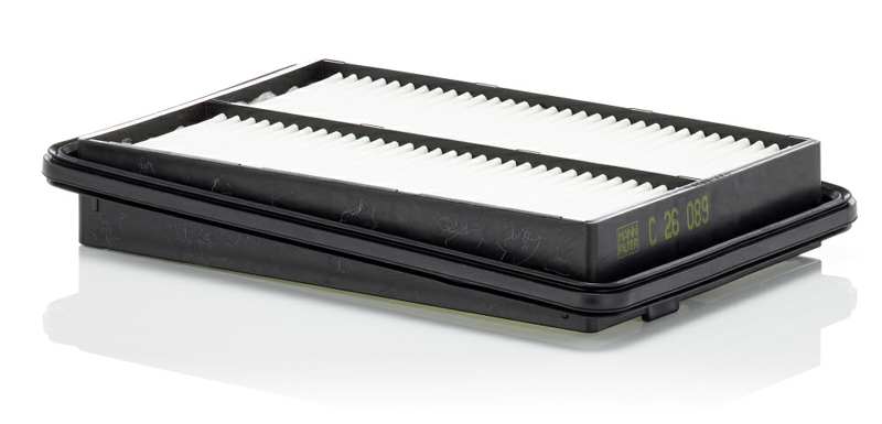 MANN-FILTER Luftfilter 11129359 Filterausführung: Filtereinsatz, EU-Produktsicherheitsverordnung (GPSR): IEC 60417-6183 mechanisches Fachwissen erforderlich, Länge [mm]: 253, Breite [mm]: 173, Höhe [mm]: 39 1.
