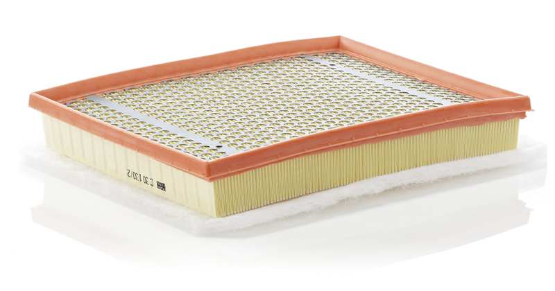 MANN-FILTER Luftfilter 83259/1 Länge [mm]: 293, Breite [mm]: 234, Höhe [mm]: 52 
Filterausführung: Filtereinsatz, EU-Produktsicherheitsverordnung (GPSR): IEC 60417-6183 mechanisches Fachwissen erforderlich, Länge [mm]: 293, Breite [mm]: 234, Höhe [mm]: 52 1.