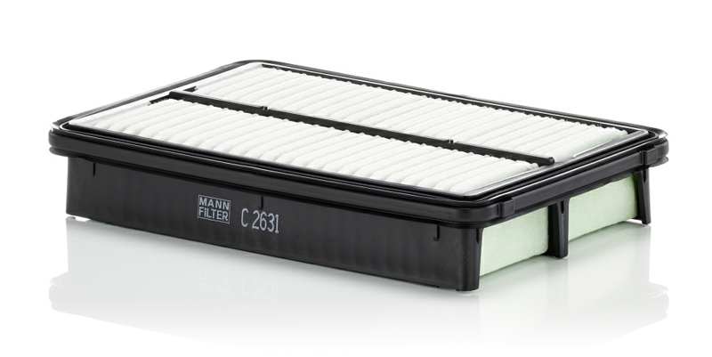 MANN-FILTER Luftfilter 83005/1 Länge [mm]: 253, Breite [mm]: 173, Höhe [mm]: 46 
Filterausführung: Filtereinsatz, EU-Produktsicherheitsverordnung (GPSR): IEC 60417-6183 mechanisches Fachwissen erforderlich, Länge [mm]: 252, Breite [mm]: 171, Höhe [mm]: 46