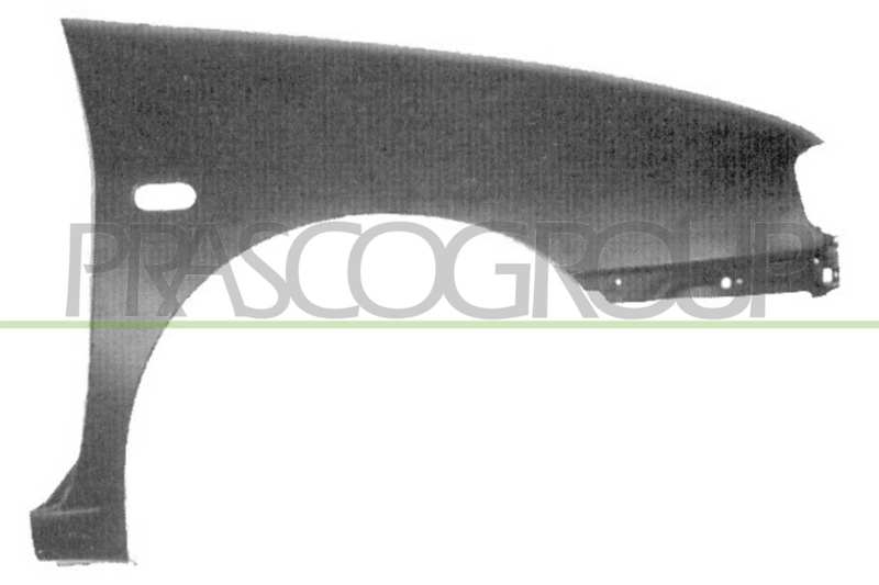 PRASCO Einstiegblech 10670093 Einbauseite: vorne rechts, Qualität: A1, mechanisch bearbeitet: mit Loch für Blinkleuchte, Form: oval, Oberfläche: verzinkt 
Einbauposition: vorne rechts, Form: oval, mechanisch bearbeitet: mit Loch für Blinkleuchte