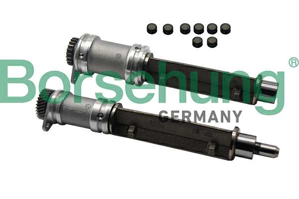 BORSEHUNG Ausgleichswelle 11001409 Reperaturset