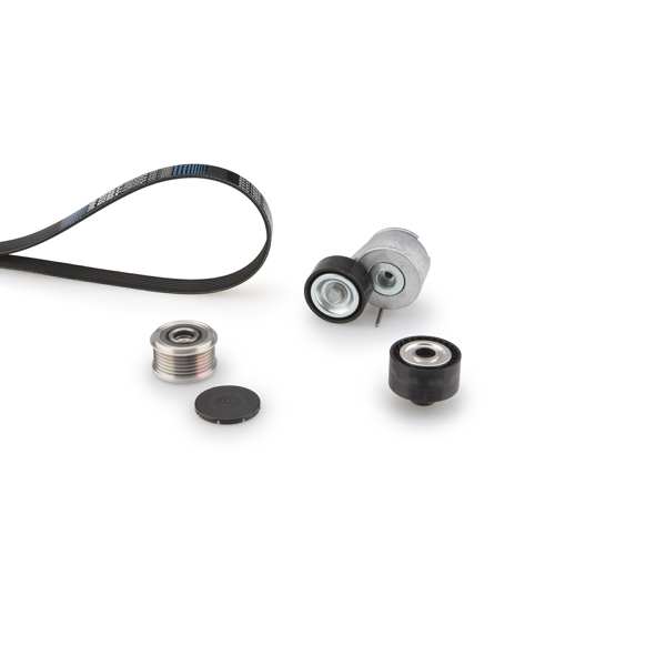 GATES Keilrippenriemensatz 731205 Riemenscheiben: mit Freilaufriemenscheibe, Artikelnummer des empfohlenen Spezialwerkzeuges: GAT4955B 1.