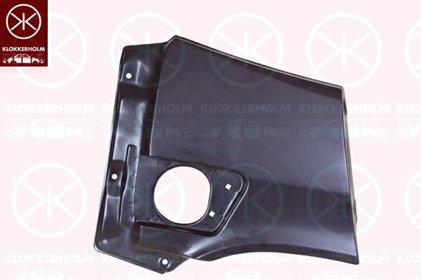 KLOKKERHOLM Einstiegblech 637321 Hinterher, rechts, 4 Türen
Türenanzahl: 4, Einbauseite: hinten rechts, Blechart: Komplett-Teil