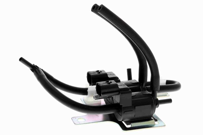 ACKOJA Schalter für Differentialsperre 10855176 Betriebsart: elektrisch, Ventilart: Magnetventil 1.