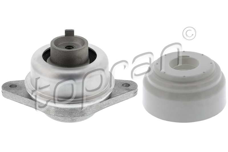 HANS-PRIES Lagerung, Motor 11168807 Einbauposition: beidseitig, vorne, Lagerungsart: Hydrolager 1.
