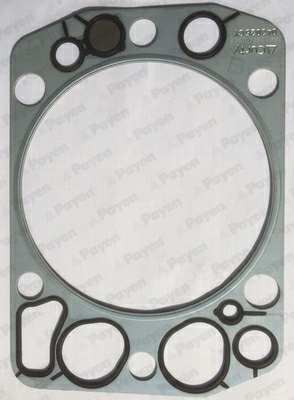 PAYEN Zylinderkopfdichtung 10813719 Durchmesser [mm]: 144, Dicke/Stärke [mm]: 1,25, Dichtungsbauart: Metall-Elastomer-Dichtung 1.